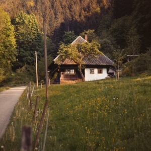 Diezendobel