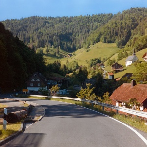 Wildgutach