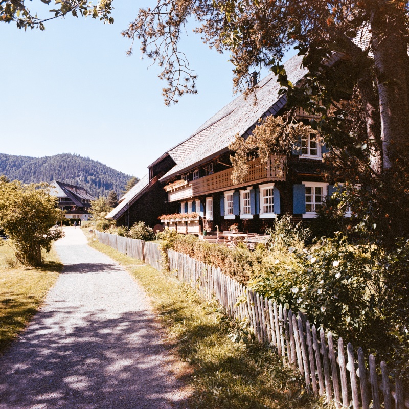 Menzenschwand