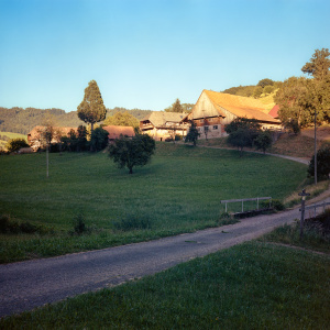 Brettental