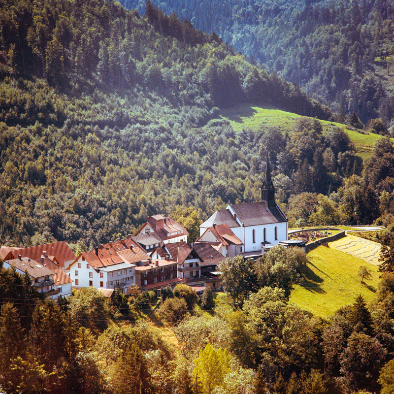 Häg