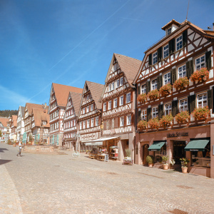 Calw