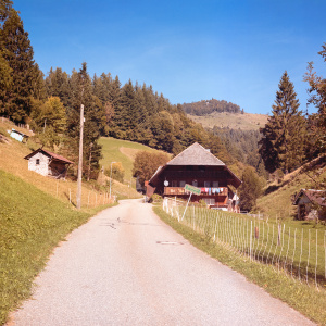 Streusiedlungen im Schwarzwald