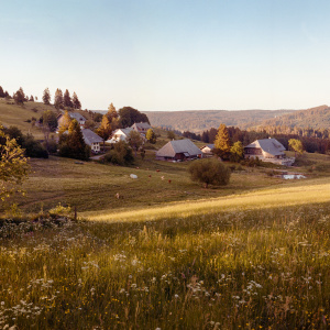 Schluchsee