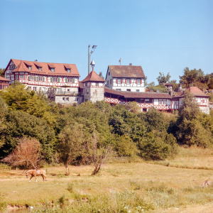 Münsingen