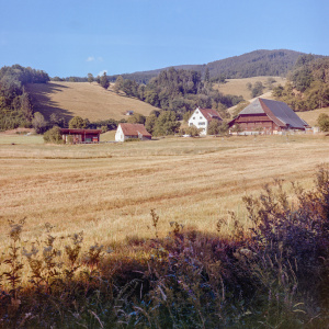 Kirchzarten