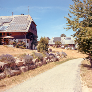 Eisenbach (Hochschwarzwald)